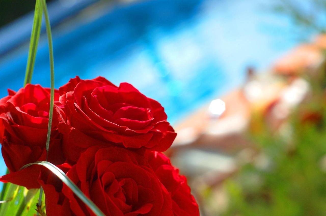 Casa Bela Moura, Boutique Hotel & Wine Porches  Εξωτερικό φωτογραφία
